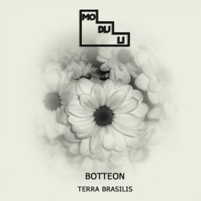 Download track Terra Brasilis Botteon