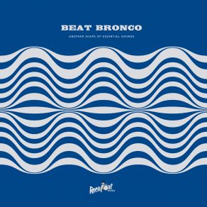 Download track More Space Beat Bronco Organ Trio