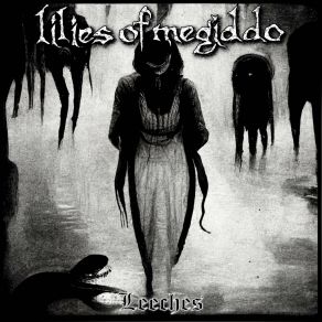 Download track Covered In Blisters Lilies Of Megiddo