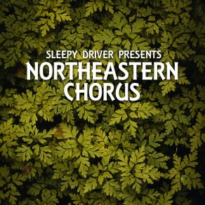 Download track Wilderness Northeastern Chorus