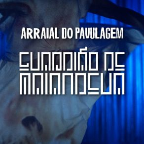 Download track Guardião De Maiandeua Arraial Do Pavulagem