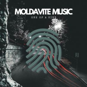 Download track Coming Home Moldavite