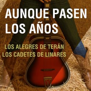 Download track Borracho Lo Soy Cadetes De Linares, Los Alegres De Teran