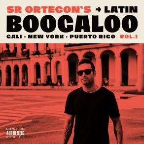 Download track Son Sonero Sr Ortegon