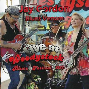 Download track Slow Burn Biker Mama (Live) Jay Gordon, Venom Blues