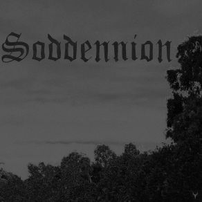 Download track Soddennion Total Unknown