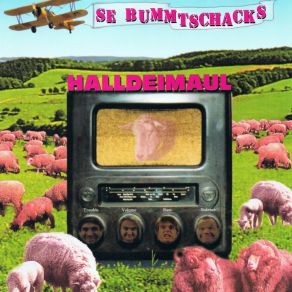 Download track Bonus Dreck (Halldeimaul 1998) Se Bummtschacks