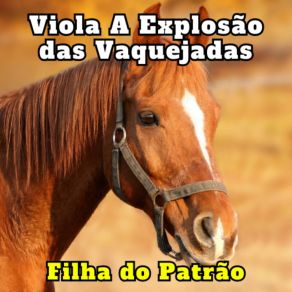 Download track Chora, Me Liga (Cover) A Explosão Das Vaquejadas