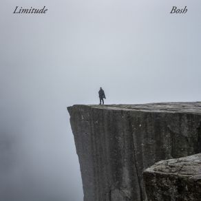 Download track Limerick Limitude