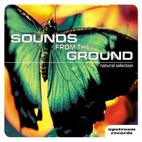 Download track Inner World Sounds From The Ground