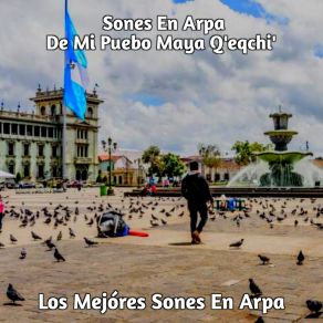 Download track Ro' Son Sones En Arpa De Mi Puebo Maya Q'eqchi'