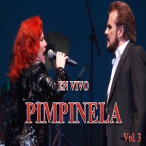 Download track Se Van (En Vivo) Pimpinela