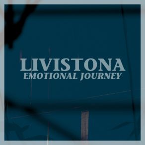 Download track Emotional Journey Livistona