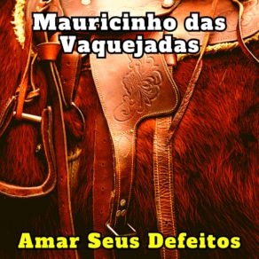 Download track Amar Seus Defeitos (Cover) Mauricinho Das Vaquejadas