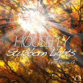 Download track Stubborn Lights (Extended Mix) HouseFly, Caro G