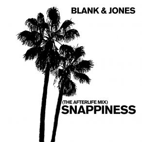 Download track Snappiness (Afterlife Mix) Blank & Jones