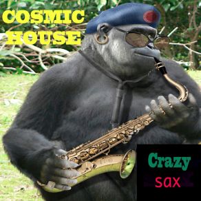 Download track Dubhouse Cosmic House