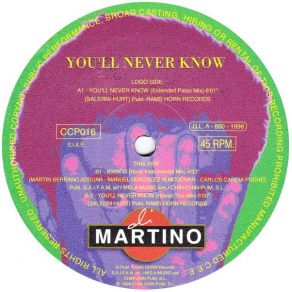 Download track You'll Never Know (House Tina Mix) Di Martino