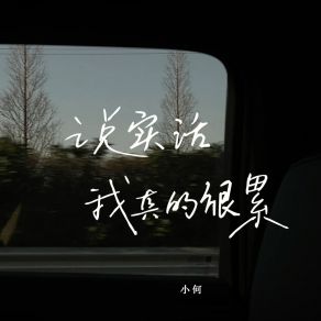 Download track 说实话我真的很累 (伴奏版) Xiao He