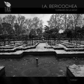 Download track T2 (Original Mix) I. A. Bericochea