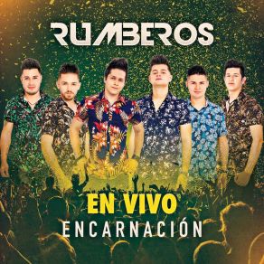 Download track Si Tú No Estas Aquí (En Vivo) Rumberos