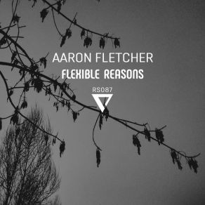 Download track Flexible Reasons Aaron Fletcher