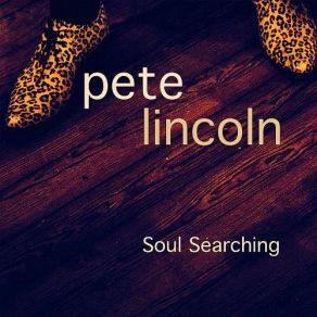 Download track Sometimes (In The Dead Of Night) Pete Lincoln