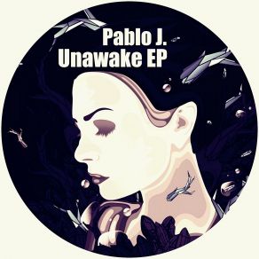 Download track Unawake (Original Mix) Pablo J