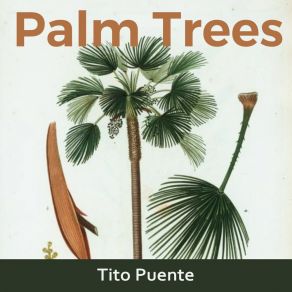 Download track Four By Two, Pt. 1 Tito Puente