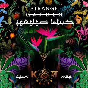 Download track Strange Vibes Jeweled Lotus