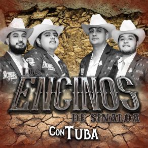 Download track El Descuido Del Aguila Los Encinos De Sinaloa