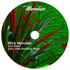 Download track That Groove! Nick Mendes