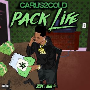 Download track Handouts Carus2cold