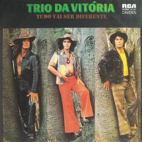 Download track Não Me Perguntem Por Ela Trio Da Vitória