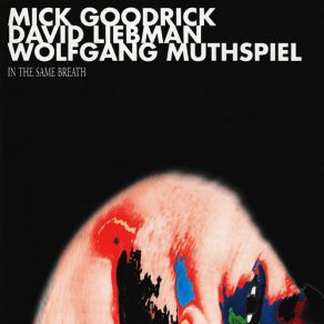 Download track Throughout David Liebman, Mick Goodrick, Wolfgang Muthspiel