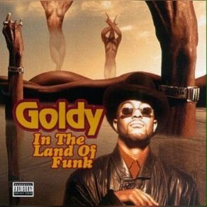 Download track In The Land Of Funk Goldy