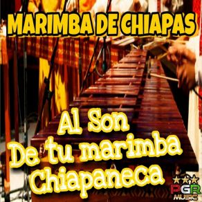 Download track Clases De Cha Cha Cha Marimba De Chiapas