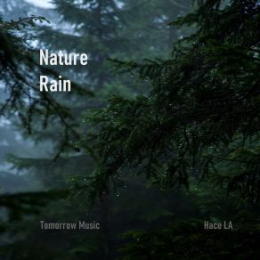 Download track Rain In A Forrest One Hace LA