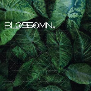 Download track Susurrus Blossomn