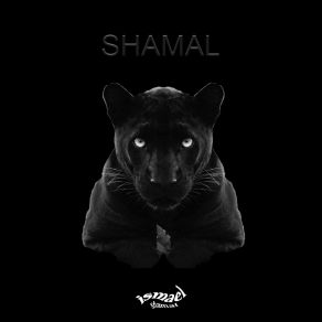 Download track Como Si Nada Ismael Shamal