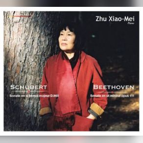 Download track Schubert- Piano Sonata No. 23 In B-Flat Major D. 960- III. Scherzo Zhu Xiao-Mei