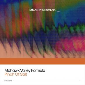 Download track Pinch Of Salt (Original Mix) Mohawk Valley Formula