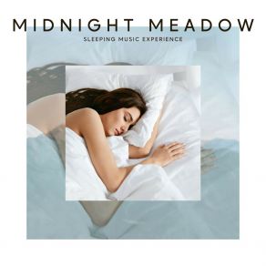 Download track Gentle Meadow Light Sleeping Music Experience