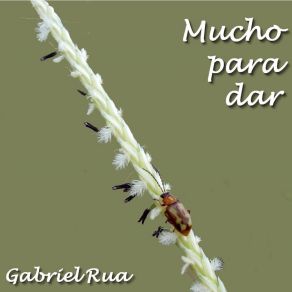 Download track Necesitaría Gabriel Rua