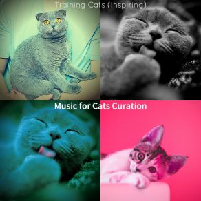 Download track Extraordinary (Cute Kittens) Music For Cats Curation