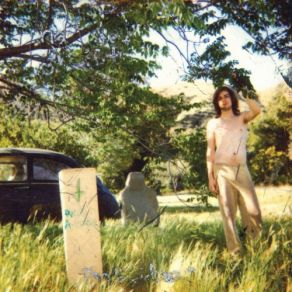 Download track Gray Sunset (Remastered) Ariel Pink