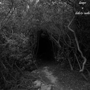 Download track This Is The Forest Primeval Damper