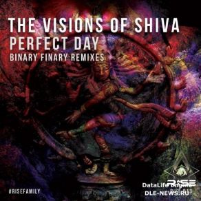 Download track Perfect Day (Binary Finarys Perfect Sunrise Remix) The Visions Of Shiva