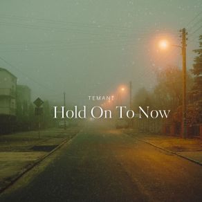 Download track Hold On To Now (Sped Up) Temani