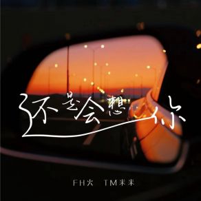 Download track 还是会想你 (女声0.86X) TM米米